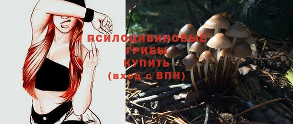 синтетический гашиш Алексеевка