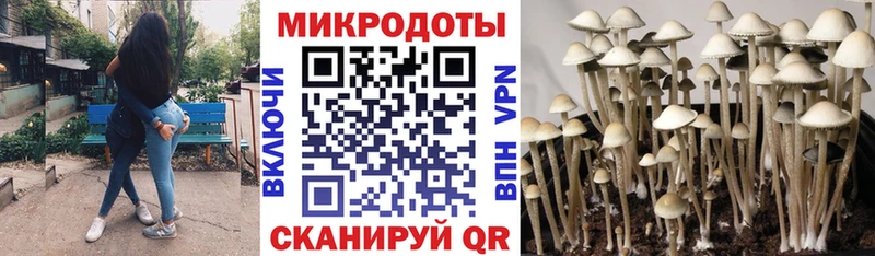 площадка формула  Ахтубинск  Галлюциногенные грибы мухоморы 